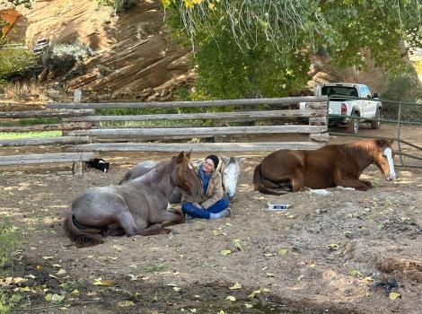 Gina sitting with with three horses lying together on the ground