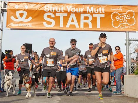 Strut Your Mutt event