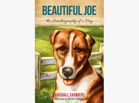 Cover of the book, ‘Beautiful Joe’