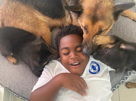 Kai Mason, smiling and lying down surrounded by German shepherd and pupies