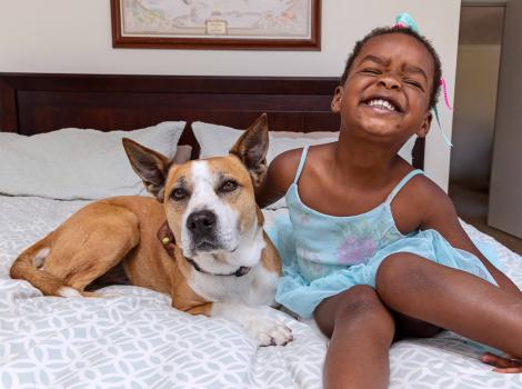 Smiling child on a bed with a brown and white dog