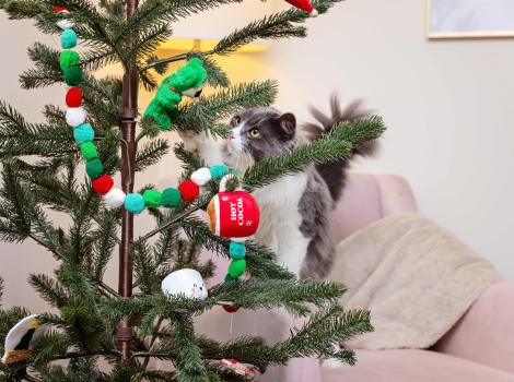 Gray and white cat looking intently at a Christmas tree