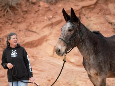 Person wearing Best Friends sweatshirt walking Willow the mule on a lead