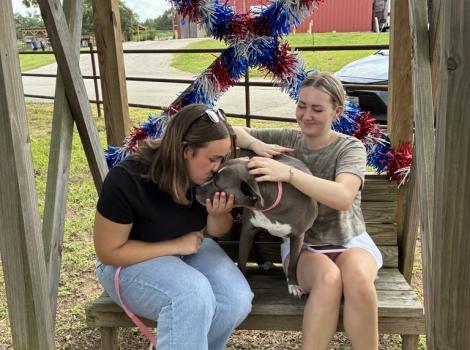 Dog from Aggieland Humane Society with two people on a wooden swing
