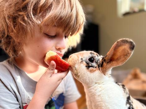 Child eating an apple with Leroy the rabbit