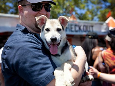 Meet Your New Best Friend at NKLA Super Adoption June 3 & 4 at Warner Park in Woodland Hills