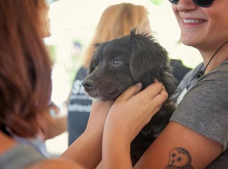 Family holding their adopted dog