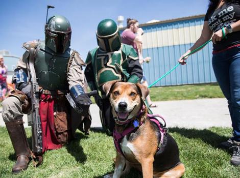 Best Friends Pet Super Adoption