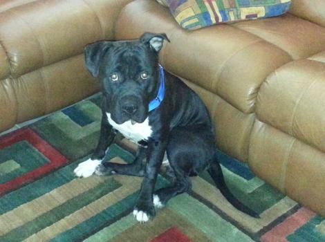 Selenium test image - create