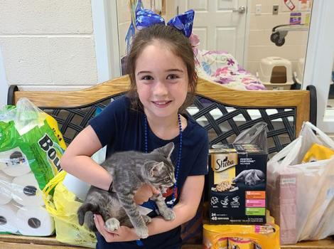 Little girl wearing a blue bow holding a gray kitten