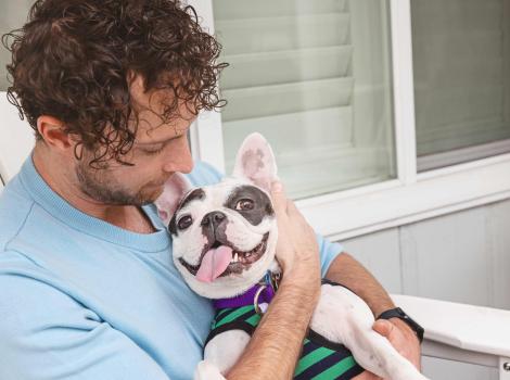 Person cradling a smiling French bulldog whose tongue is out
