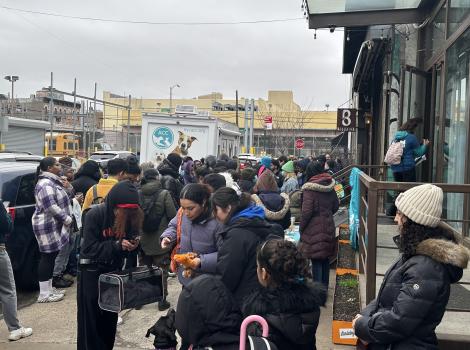Crowd of people outside the New York City adoption event