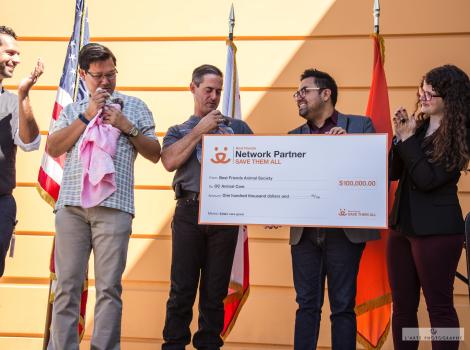 Save Them All grant will reduce kitten euthanasia by 15% at Orange County Animal Care