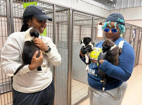 Two people holding puppies standing in front of dog kennels