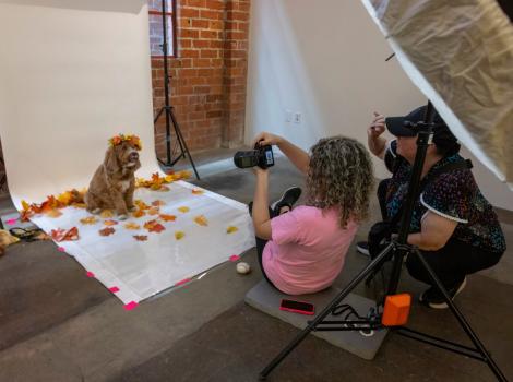 Photographer taking a picture of a dog on a white backdrop surrounded by colorful leaves