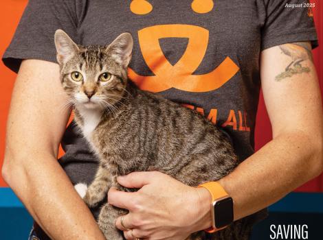 August 2025 cover of Houston pet Talk Magazine