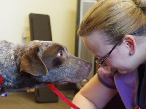 West Valley City Success