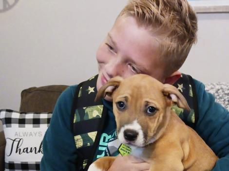 Beau hugging Mac the puppy