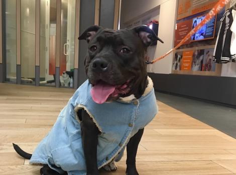 Queen in her new look