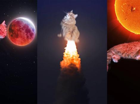 Gregory the cat featured in a collage of three space images