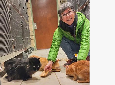 Sheri Giordano putting food down for multiple cats outside of stainless steel kennels