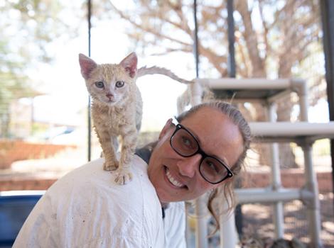 Faith the kitten standing on Amy's shoulder
