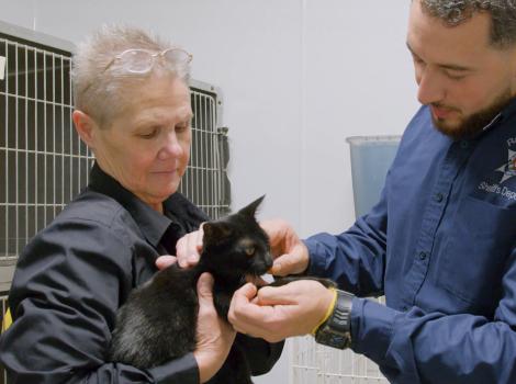Two people interacting with a small black kitten with a kennel in the background