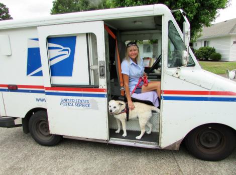 Raquel (now Poppy) the dog in a mail truck with the mail person petting her