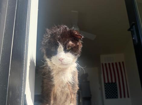 Righty Tighty in a window