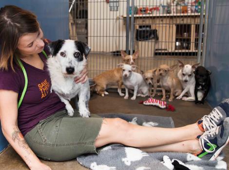 Roosevelt Hoarding Story