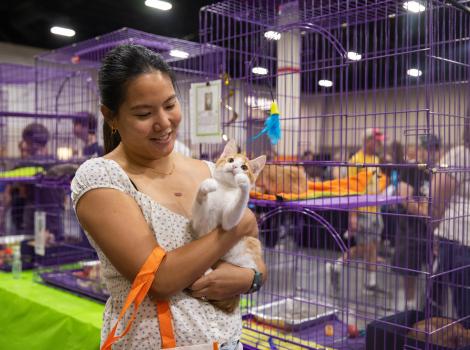 Person holding a kitten in front of some wire kennels at the Best Friends Super Adoption in Utah
