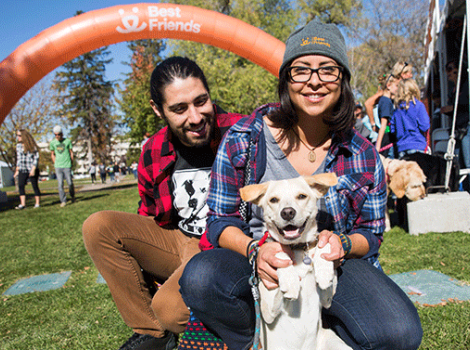 2016 Strut Your Mutt in Salt Lake City