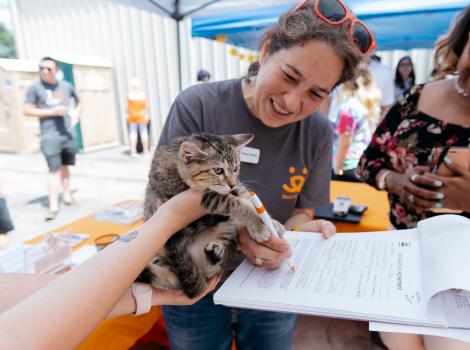 Person wearing a Best Friends T-shirt with a tabby kitten at an outdoor adoption event