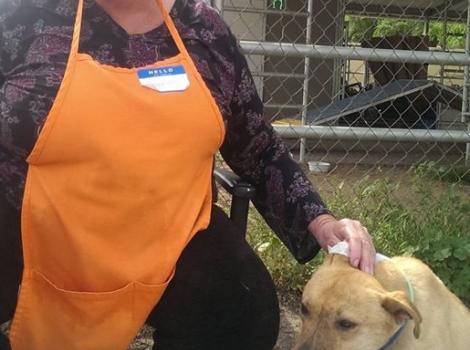 Volunteer Sharon G. with a dog at Best Friends in Los Angeles