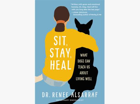 The cover of the book, 'Sit Stay Heal'