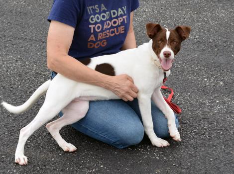 Person with a small dog in their lap kneeling on concrete