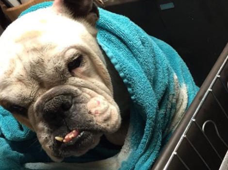 Selenium test image - create