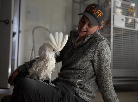 Caregiver Elle Greer with a cockatoo in her lap
