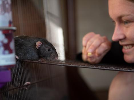 Caregiver Brianna Vlach with Eagle the rat