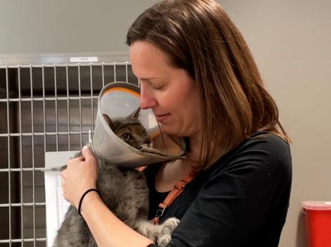 Dr. Christina Boekhout holding Stone Cold the cat who is wearing a protective e-collar