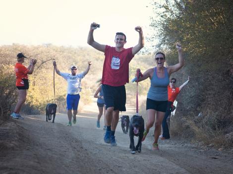 LA Strut Your Mutt walkers
