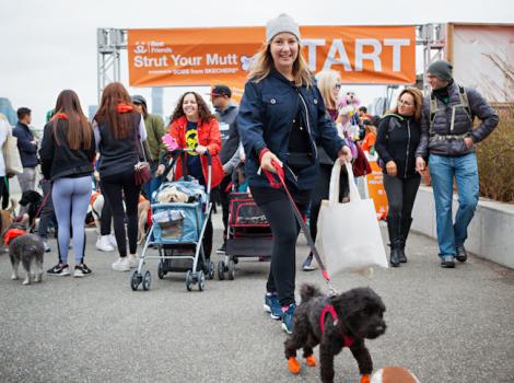 Strut Your Mutt NYC Kicks Off