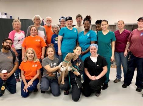 Group shot of the high-volume spay/neuter team in Houston
