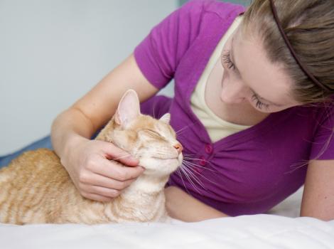 Instead of a dozen roses, Best Friends Animal Society offers twelve reasons why pets make the best Valentines