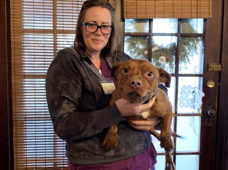 Tulip the dog smiling while being held
