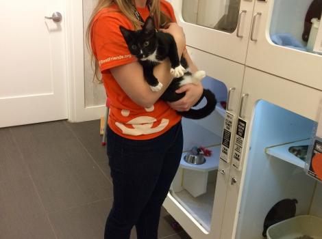 Cat volunteer Vanessa with a cat