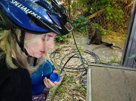 Woman wearing a helmet with a tabby community cat in the background
