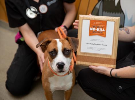 Dog next to people holding a Best Friends no-kill plaque
