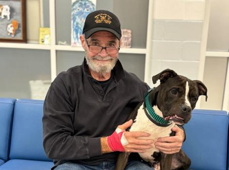 Person sitting on a couch with Bark Twain the dog