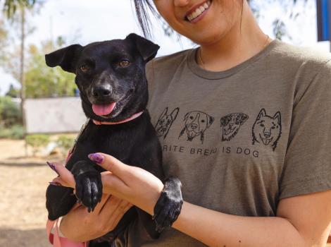 Smiling person holding a small black dog